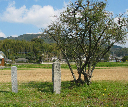 史跡大宰府学校院跡